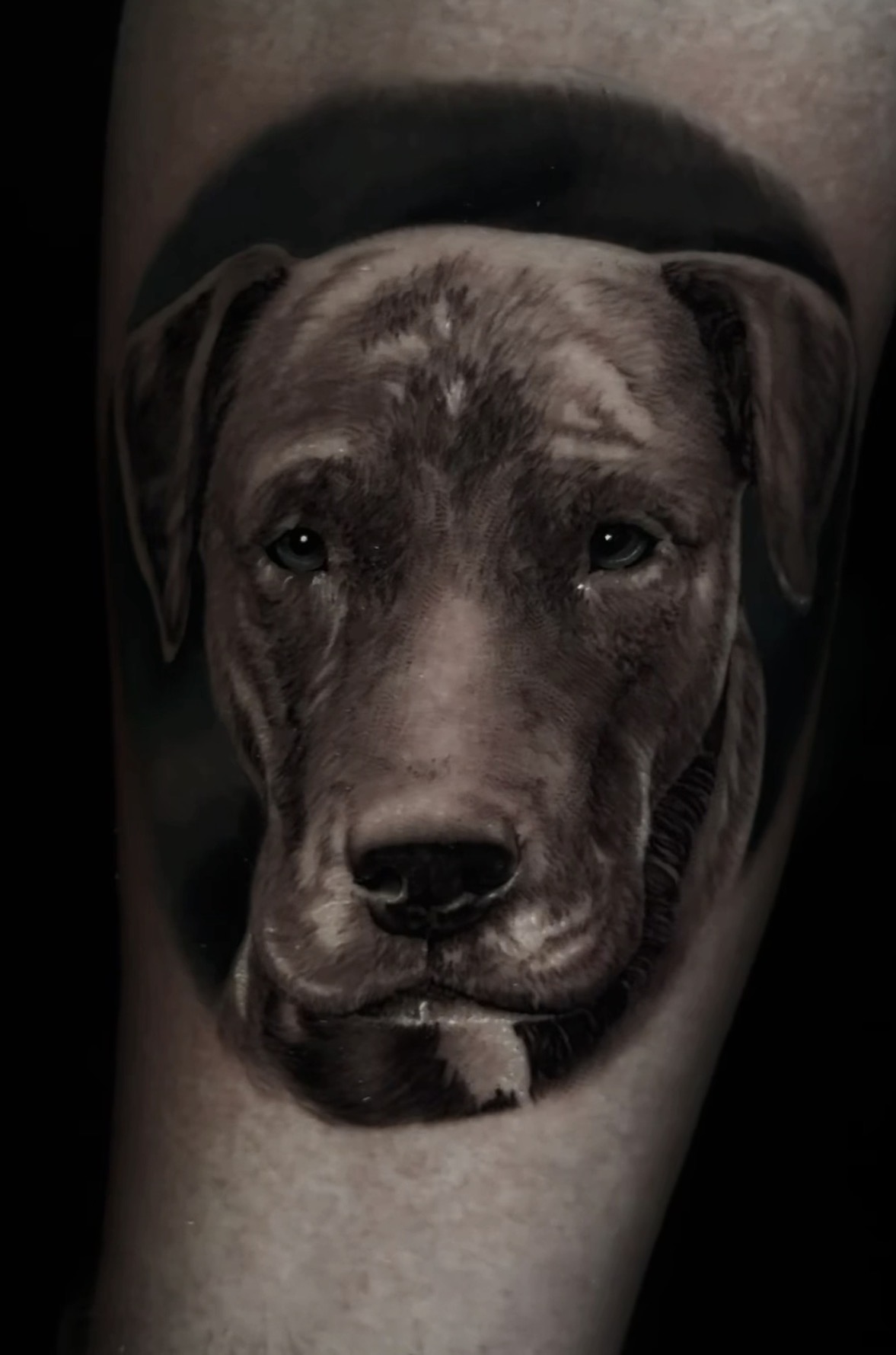 Realistic dog tattoo